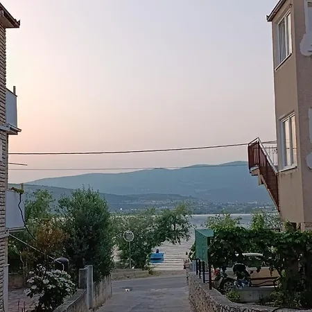 Ruzica تروغير