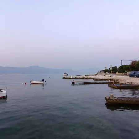 Ruzica تروغير